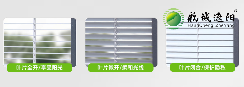 单玻磁控百叶